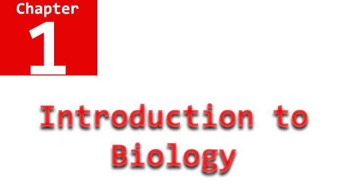 introduction to biology chapter 1 name