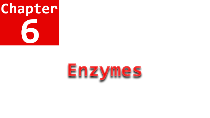 enzymes chapter 6 name