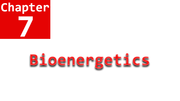 bioenergetics chapter 7 name
