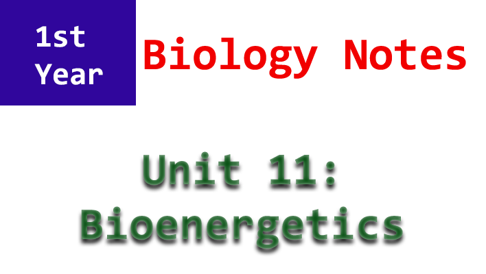 1st year biology unit 11 notes