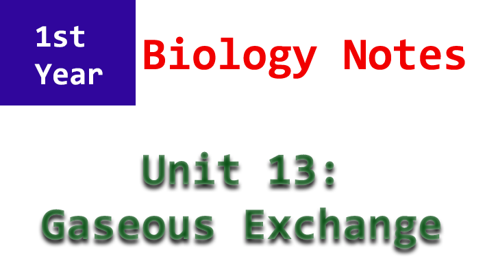 1st year biology unit 13 notes