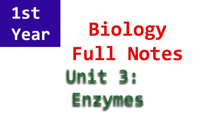 1st year biology unit 3 notes