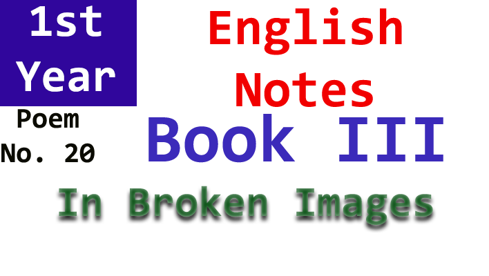 in broken images poem no. 20 notes