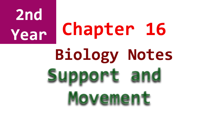 2nd year biology chapter 16