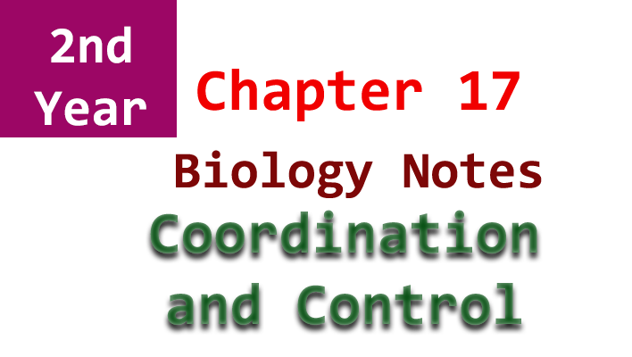 2nd year biology chapter 17