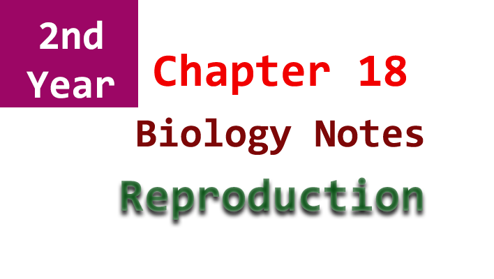 2nd year biology chapter 18