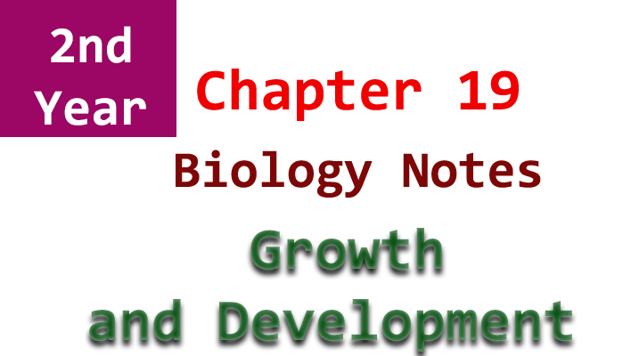 2nd year biology chapter 19