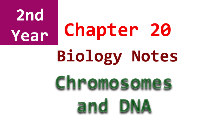 2nd year biology chapter 20