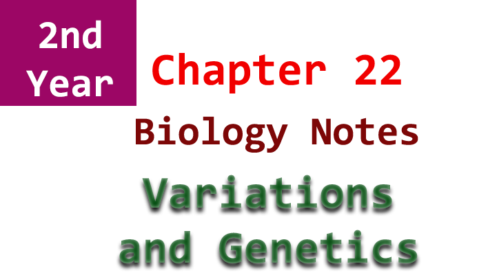 2nd year biology chapter 22
