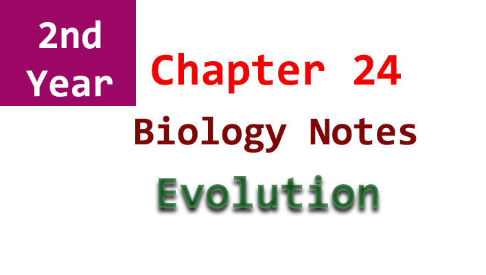 2nd year biology chapter 24
