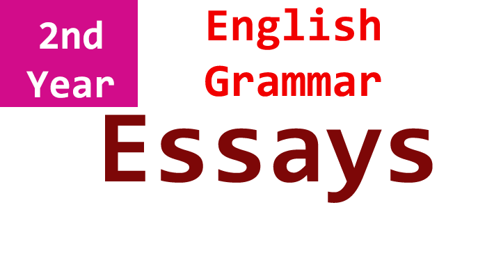 important essays in english grammar