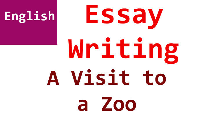 a visit to a zoo english essay