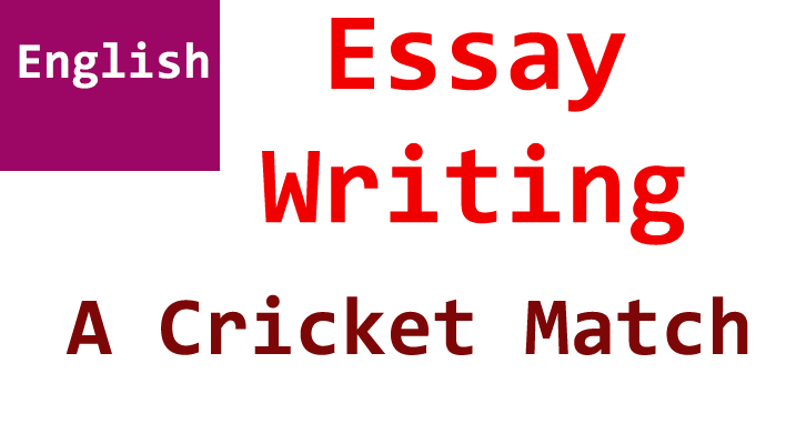 essay on a cricket match